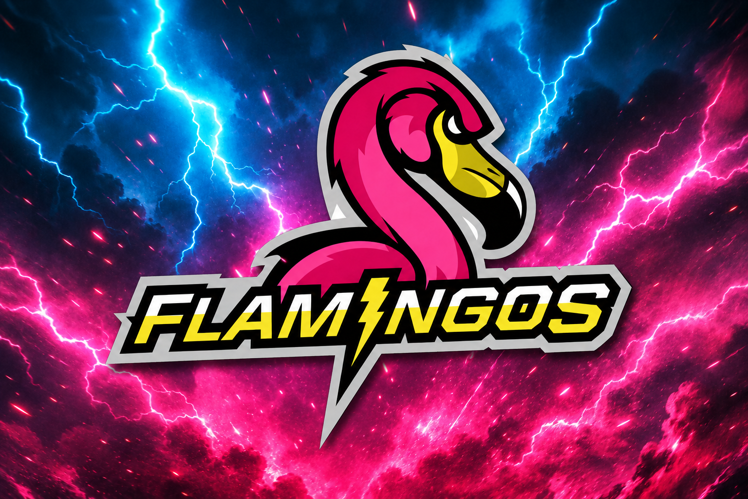 Flamingos