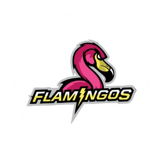 Flamigos